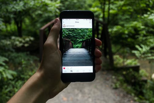 A hand holding a black smartphone and taking a photo of a bridge in the middle of the woods.