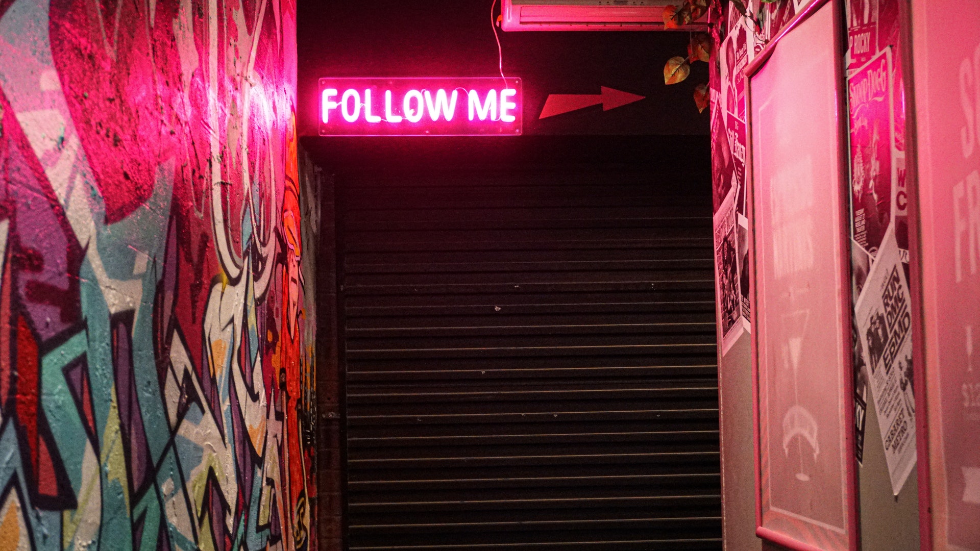 pexelsjamesmacdonald40495261 | Path Social | Path Social