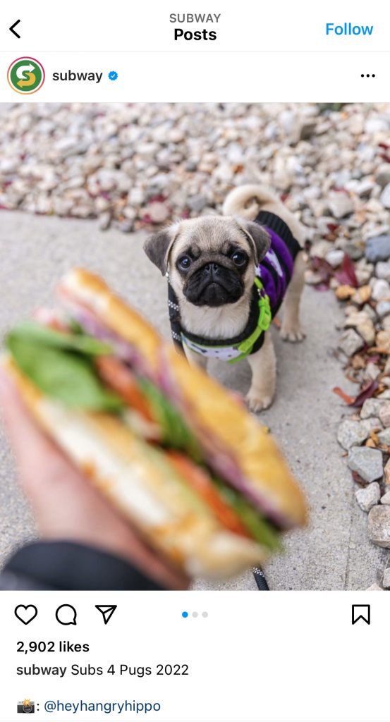 IMG_4285A287F1C8-1 | Path Social Captura de ecrã de uma publicação em Instagram com um cão e uma sandes.