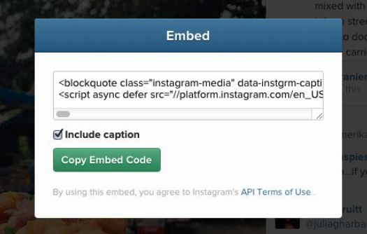 Screenshot showing how to embed an Instagram post on a blog post. 