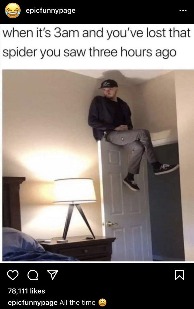 Screenshot of an Instagram meme of a comfortably sitting on top of a bedroom door.