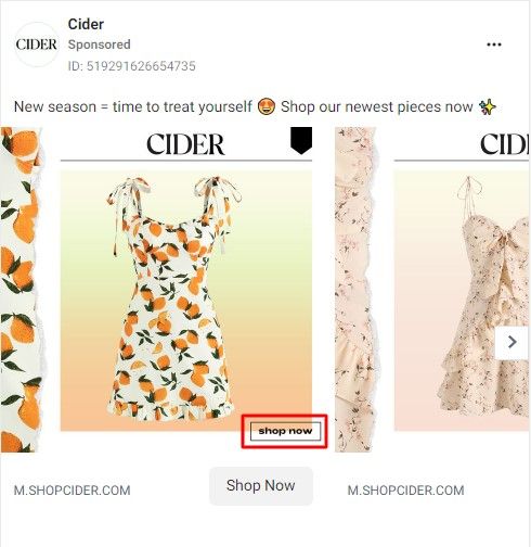 Screenshot of an example of instagram ads by cider
