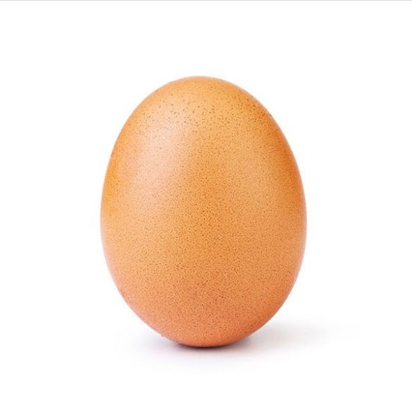 Photo of an egg. 
