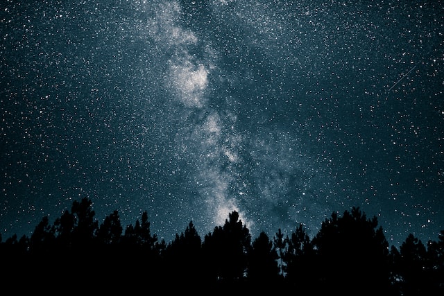 Photo de la voie lactée la nuit avec des arbres en contrebas.