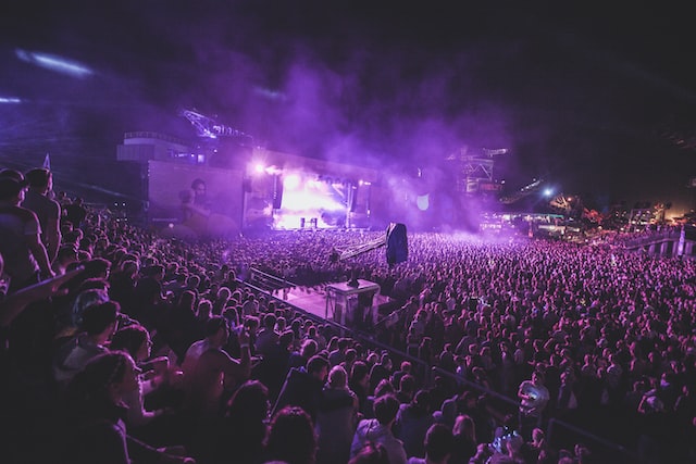 Un pubblico numeroso a un concerto.