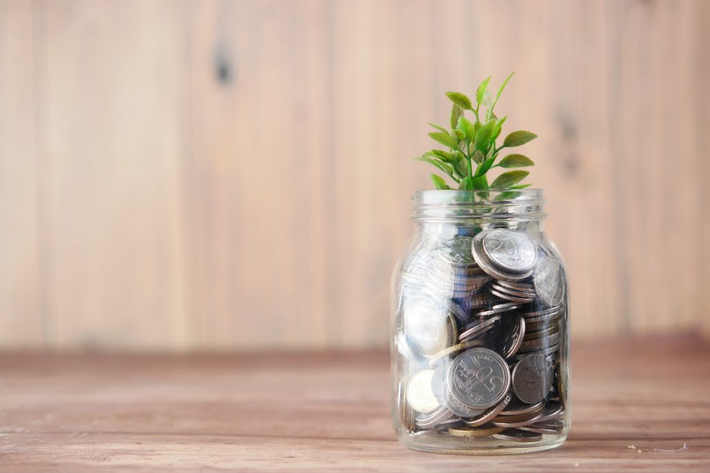 Una planta en un tarro lleno de monedas.