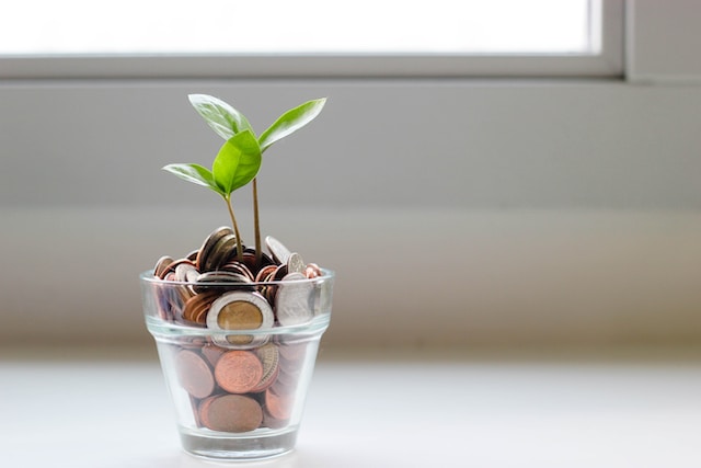 Une petite plante dans un verre rempli de pièces de monnaie.