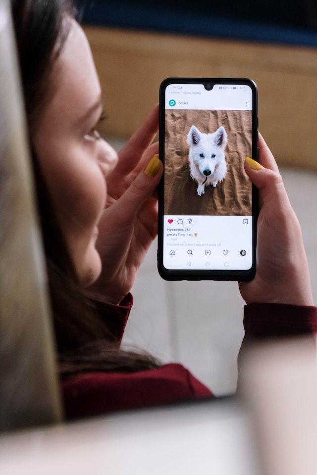 Woman looking at her phone. On the phone screen is a photo of a dog.