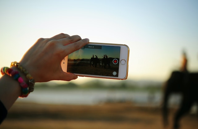  A person taking a video of elephants using a smartphone
