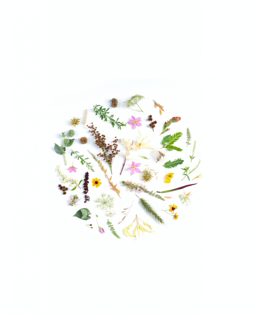  A floral-themed Instagram highlight cover template.