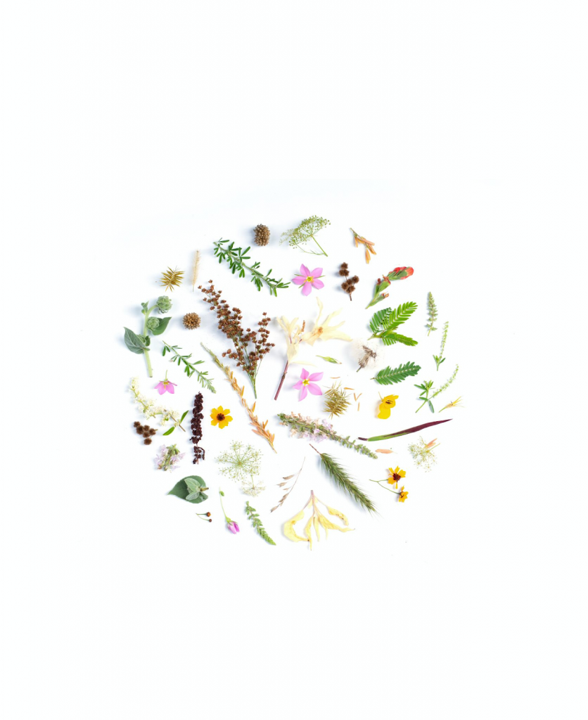 image-2 | Path Social Um modelo de capa de destaque com tema floral para Instagram .
