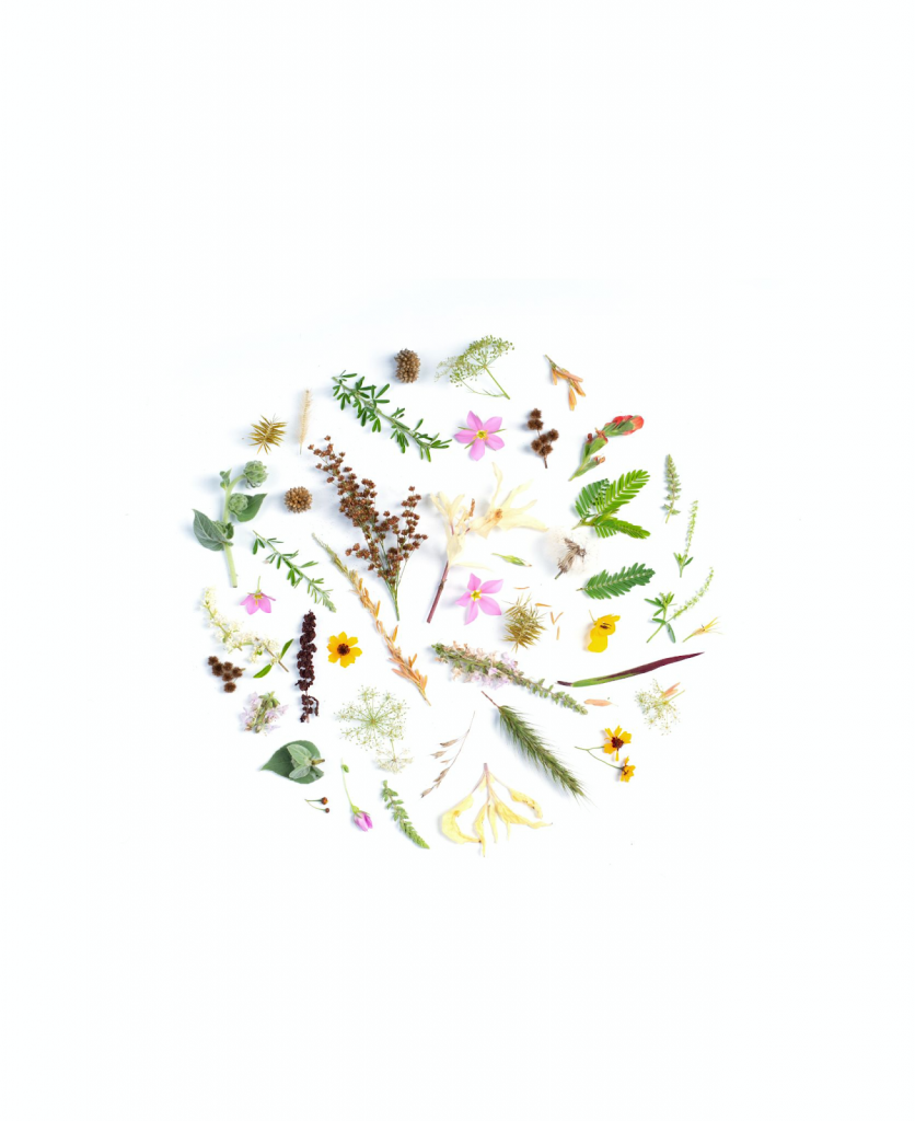  Um modelo de capa de destaque do Instagram com tema floral.