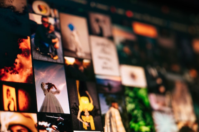 Différentes photographies placées les unes à côté des autres.