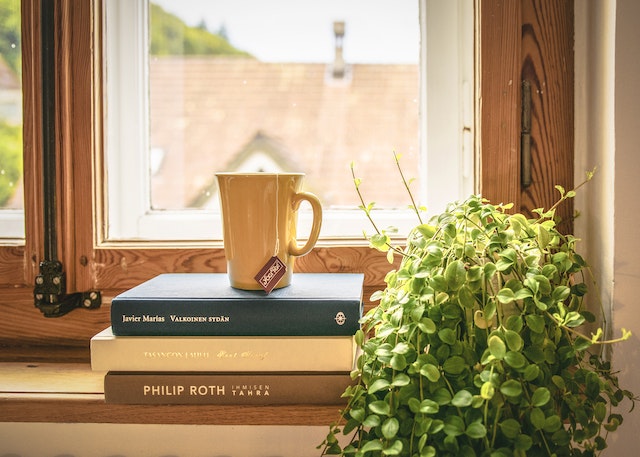 Groenbladige plant naast boeken en mok