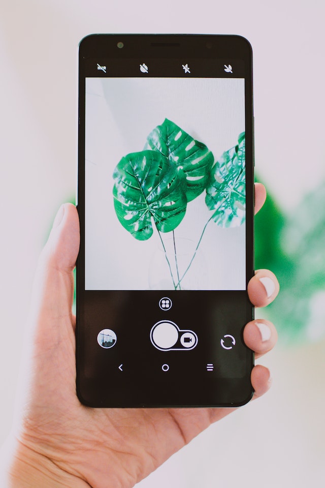 pexels-lisa-fotios-1290515 | Path Social Person Holding Black Android Smartphone Taking Photo of Green Leaf Plant
