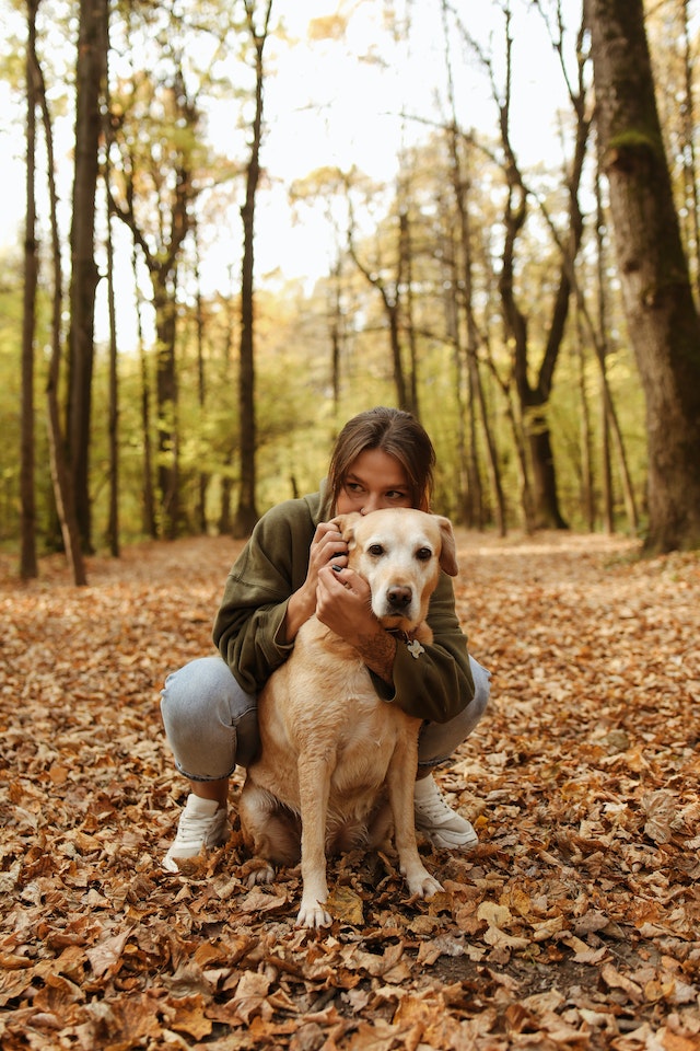 ラブラドール・レトリーバー犬を背中から抱きしめる女性 