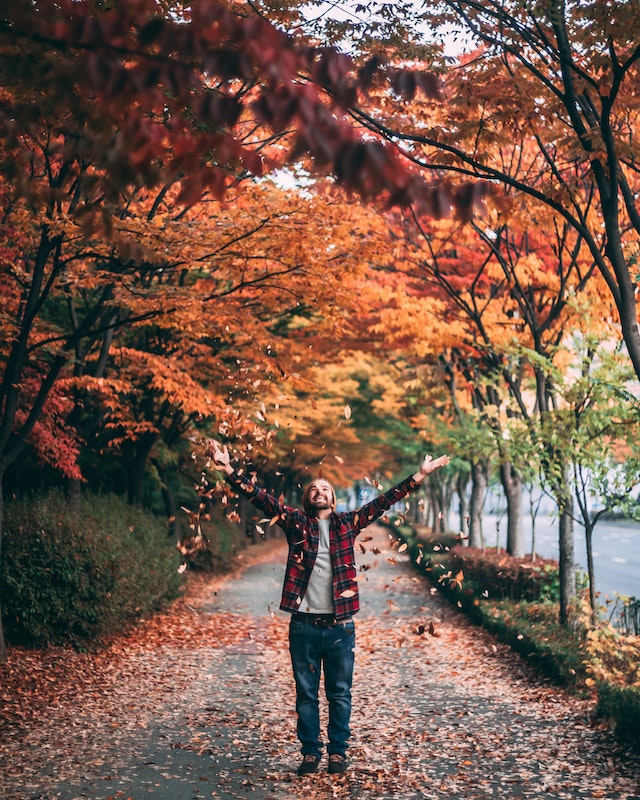 Uomo in piedi su un sentiero tra gli alberi