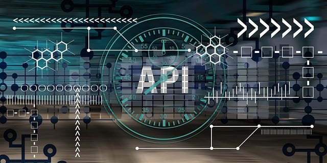 api-6492491_640 | Path Social Illustration of an API software interface.