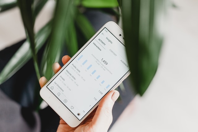 An unseen person looking at their Instagram Insights while holding their smartphone near a house plant.