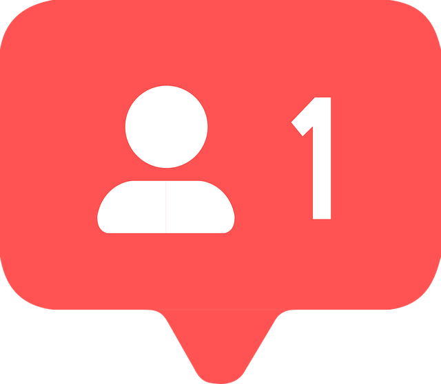 Un'icona di notifica del follow degli utenti di Instagram .