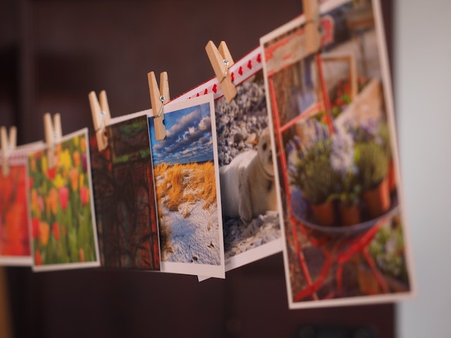 pexels-pixabay-265946 | Path Social تتيح لك الصور الدوّارة نشر العديد من الصور في منشور واحد.