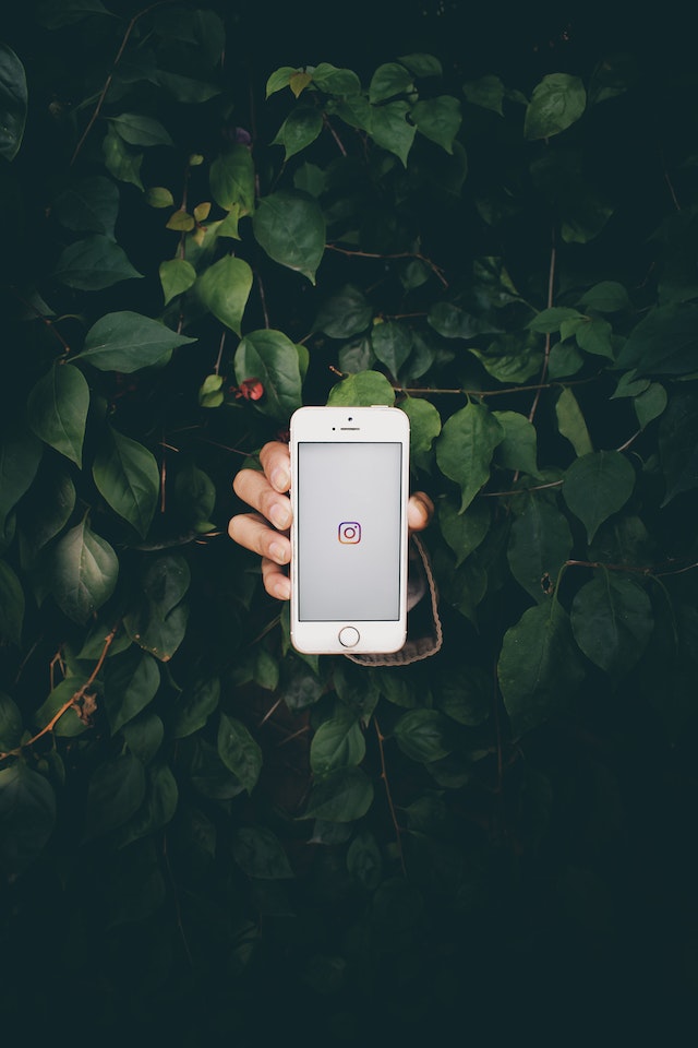 Unseen person’s hand coming out of foliage holding a phone to the Instagram app screen.