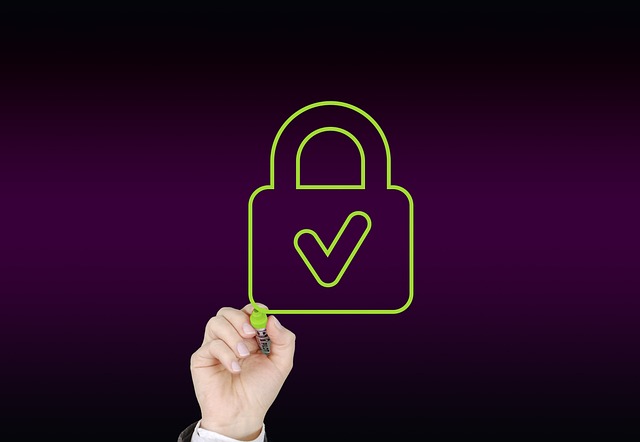 A checkmark within the silhouette of a lock representing a safe Instagram free followers app.