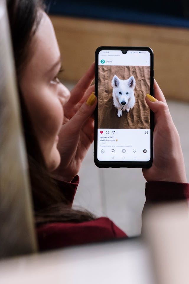 A woman looking at a picture of a dog on Instagram.