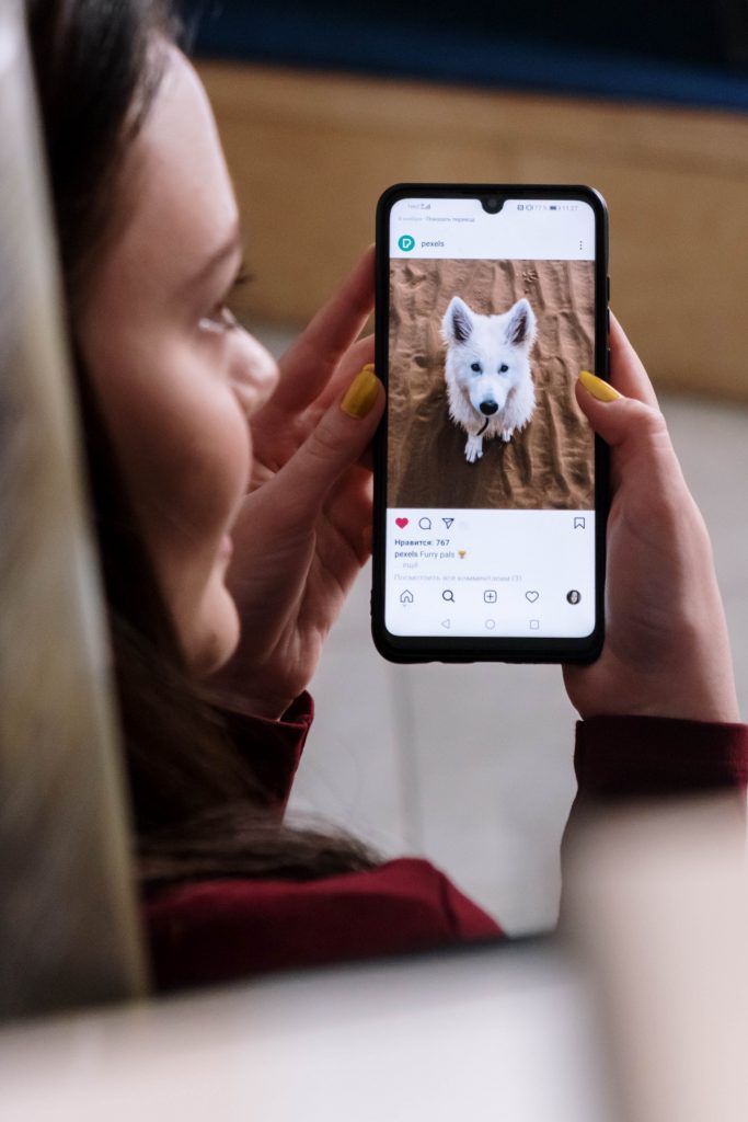 A woman is looking at a picture of a dog on Instagram.