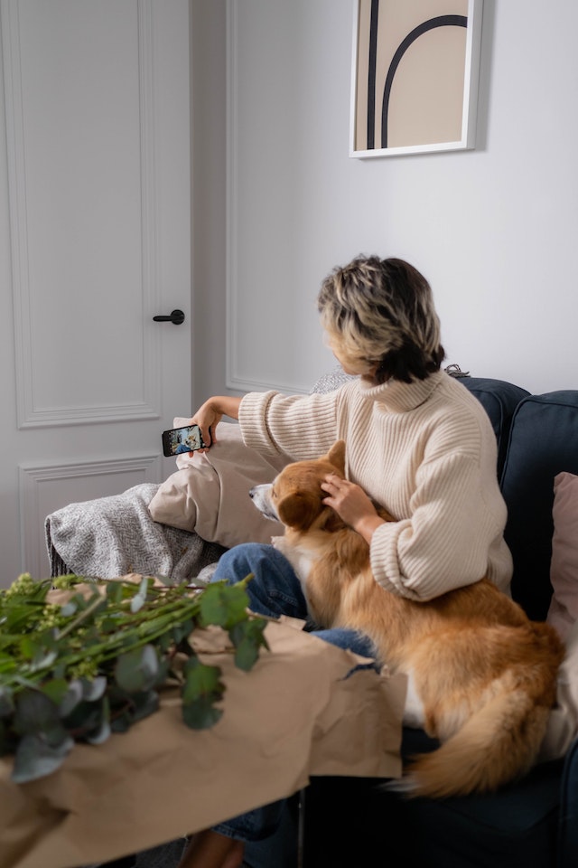Eine Frau und ihr Hund nehmen Inhalte für ihre Instagram-Stories auf.