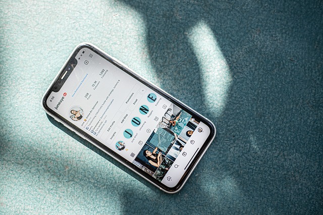 Immagine della pagina del profilo di un account Instagram visualizzata su uno smartphone bianco su sfondo grigio.