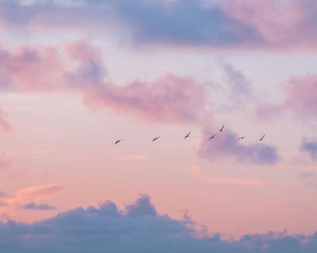 Una bella foto di un cielo crepuscolare che probabilmente non ha bisogno di un filtro.