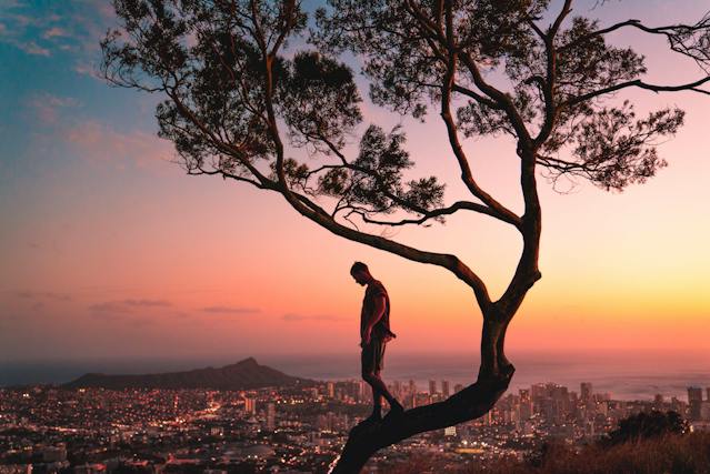 Um homem em cima de uma árvore com um deslumbrante pôr do sol urbano sem filtros como pano de fundo.