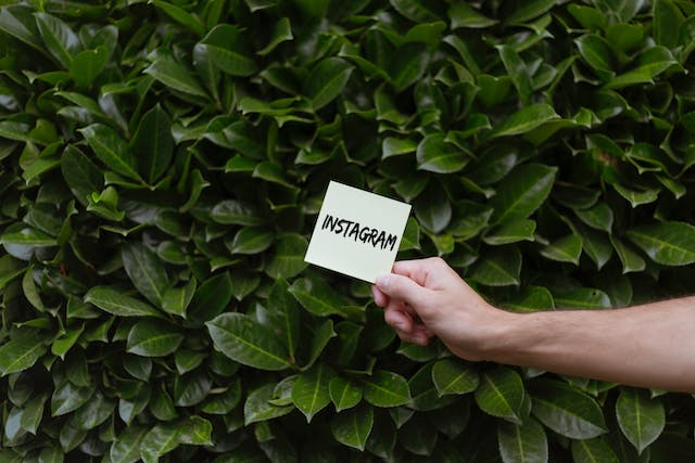Uma imagem de uma mão a segurar um papel branco com a palavra "Instagram" escrita contra um ramo de folhas.