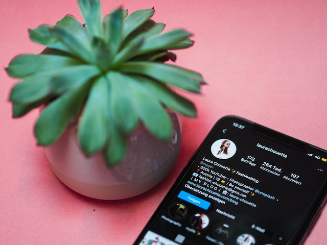 Une plante avec un téléphone à côté d'elle montrant un profil Instagram hautement optimisé sur l'écran.