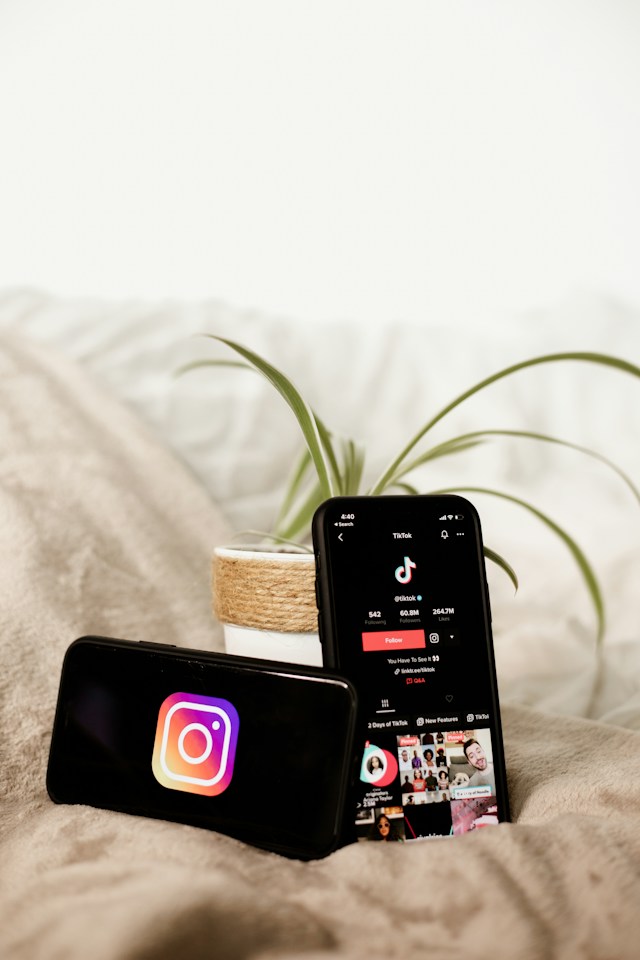 a cell phone next to a plant