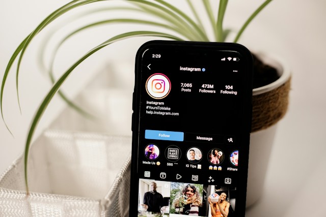A mobile phone showing an Instagram profile next to a potted plant.