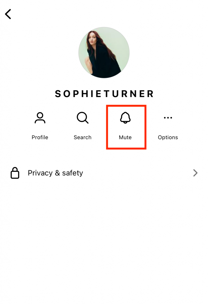  Path SocialCaptura de pantalla del botón de silencio en un DM de Instagram .