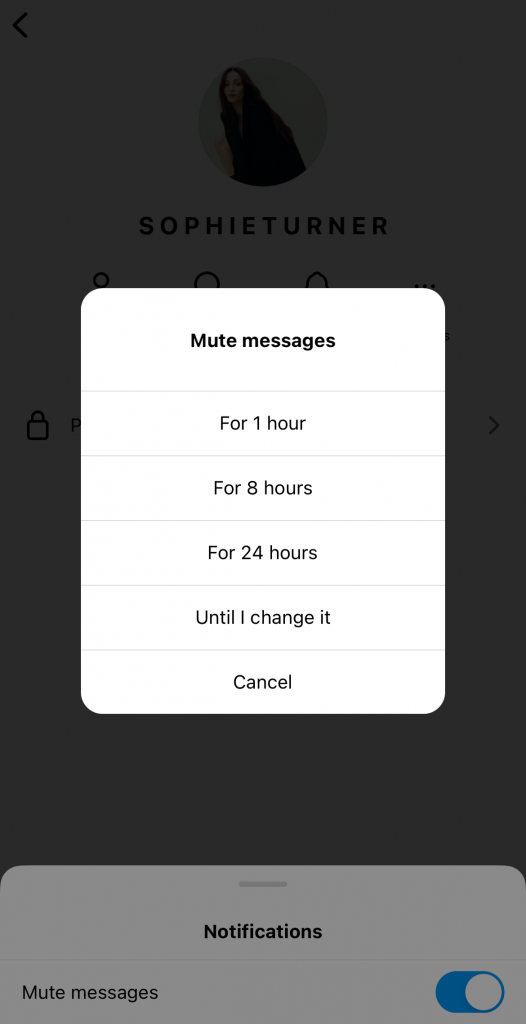 Path Social의 스크린샷( Instagram)에서 다른 사용자와의 쪽지를 뮤트할 기간에 대한 옵션을 확인할 수 있습니다.
