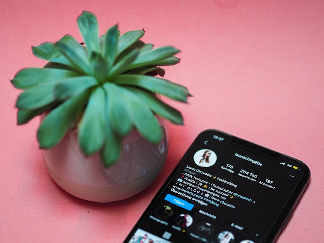 O mică plantă în ghiveci lângă un telefon care arată profilul cuiva Instagram .
