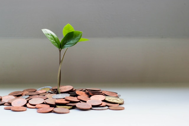 A small plant sprouting from a pile of coins.