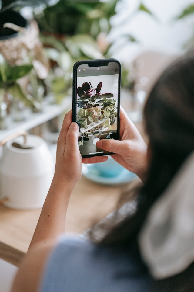 Instagram に投稿するために植物の写真を撮っている人がいる。