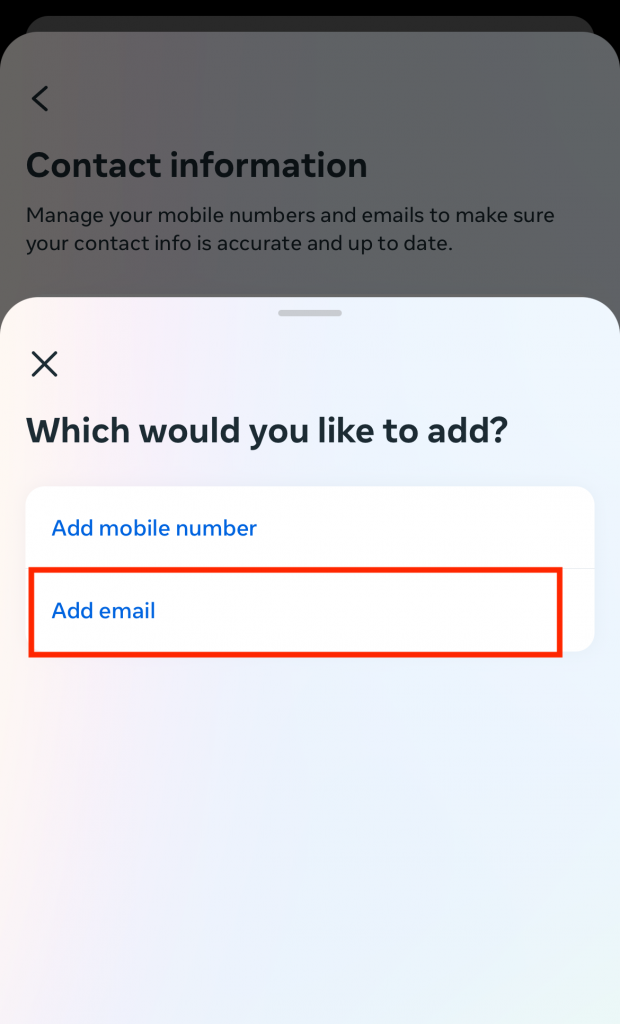 Path SocialDer Screenshot der Einstellungsseite für Kontaktinformationen zeigt ein rotes Feld, das die Schaltfläche "E-Mail hinzufügen" hervorhebt.