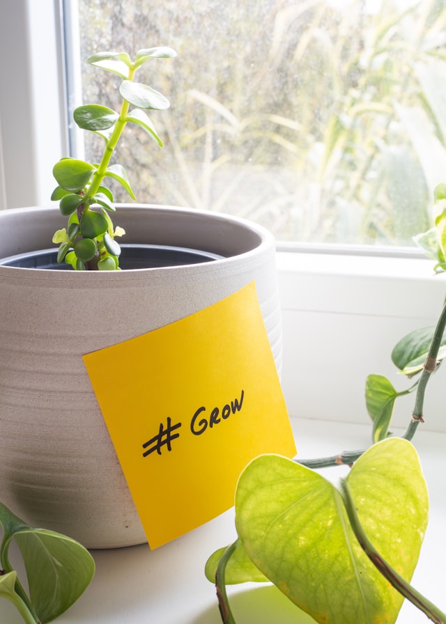 A potted plant with a yellow sticky note with the hashtag #GROW written on it.