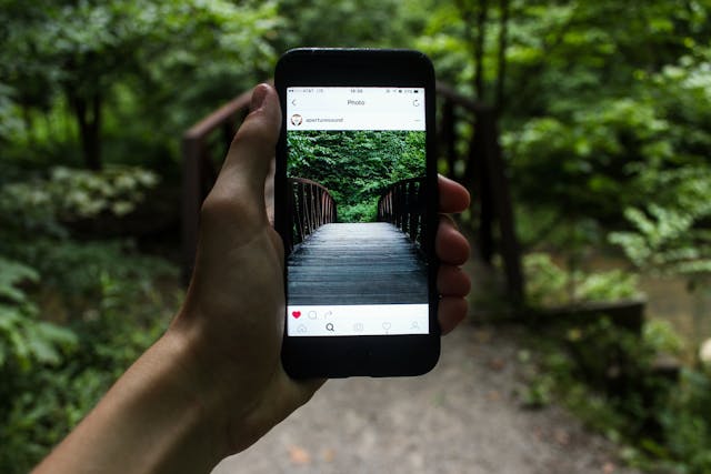 pexels-lumariia-122383 | Path Social A person holding a smartphone, taking a photo of a bridge during the daytime.